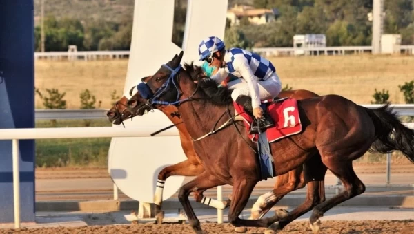 Το ενδιαφέρον στα πολύπλοκα!