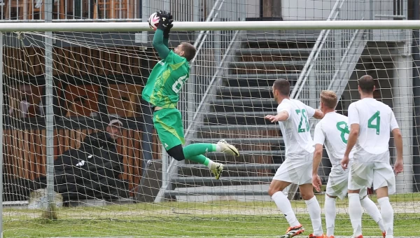 Φιλικά: Παναθηναϊκός-Μπράουνσβάιγκ, δοκιμών συνέχεια