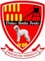 Bedlington Terriers FC