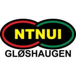 NTNUI