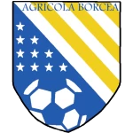 Agricola Borcea
