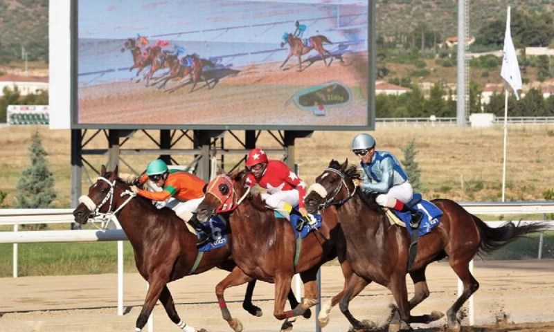 Με στηρίγματα αλλά και... παγίδες!